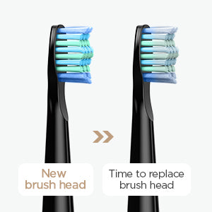 Fairywill FW-D7 Electric Sonic Toothbrush | USB Rechargeable, Waterproof, 8 Replacement Heads
