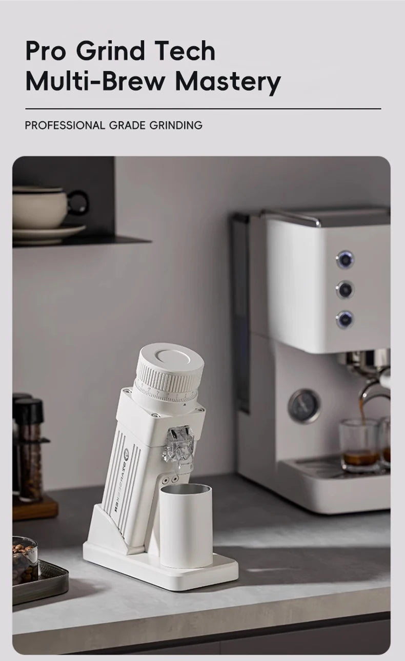 STARSEEKER E55Pro Electric Coffee Grinder | 55mm Conical Burr | Stepless Grind | Cold Brew | EU Plug