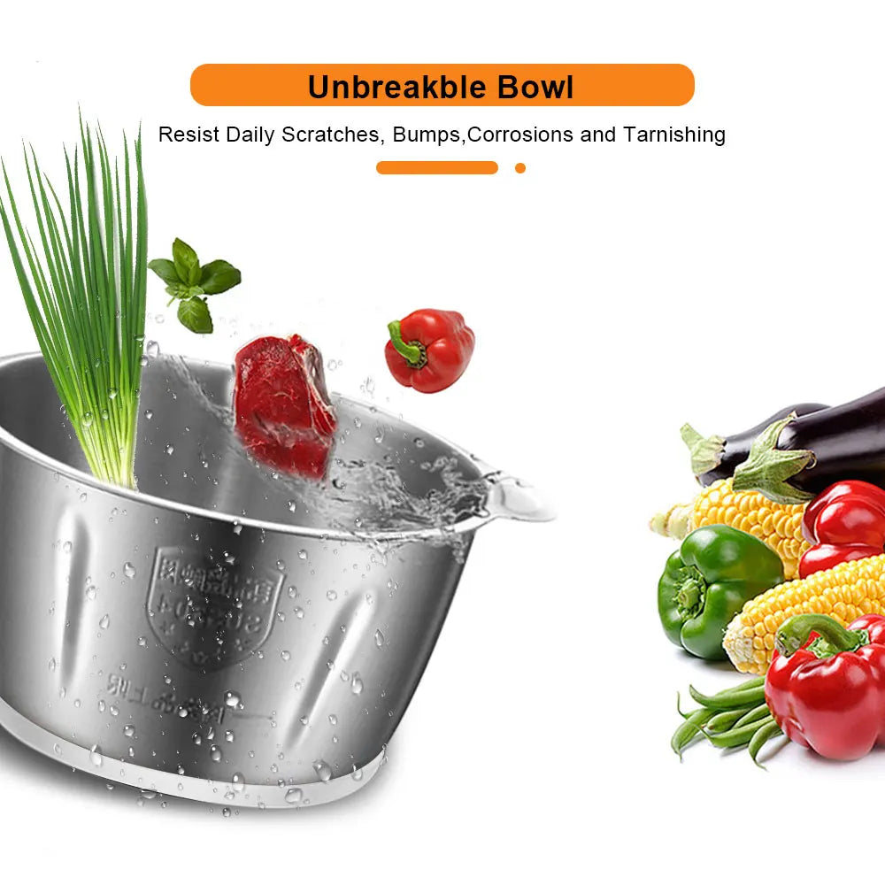 BioloMix 500W Electric Meat Grinder & Food Chopper – 2L Stainless Steel, 2 Speeds, Slicer | 110V / 220V