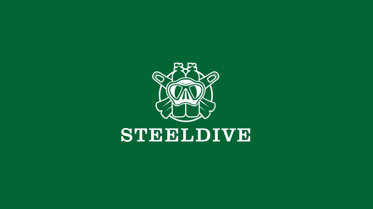 Steeldive SD1970 Automatic Dive Watch – NH35, Sapphire Glass, AR Coating, 200M Waterproof, 6105 Turtle