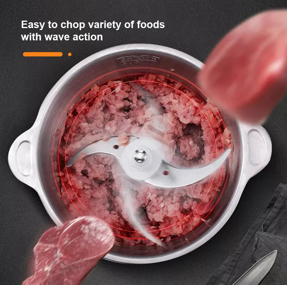BioloMix 500W Electric Meat Grinder & Food Chopper – 2L Stainless Steel, 2 Speeds, Slicer | 110V / 220V