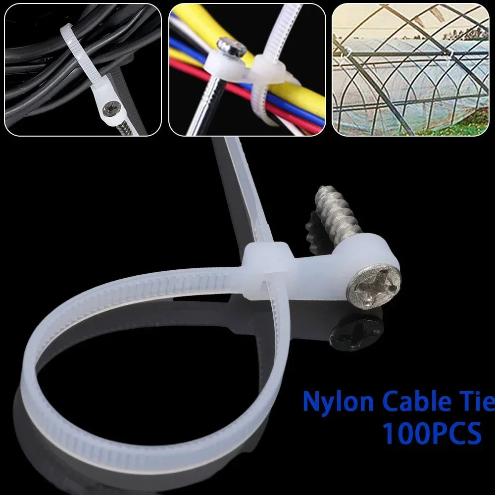 Self-Locking Nylon Cable Ties with Screw Hole Mount 100–200pcs