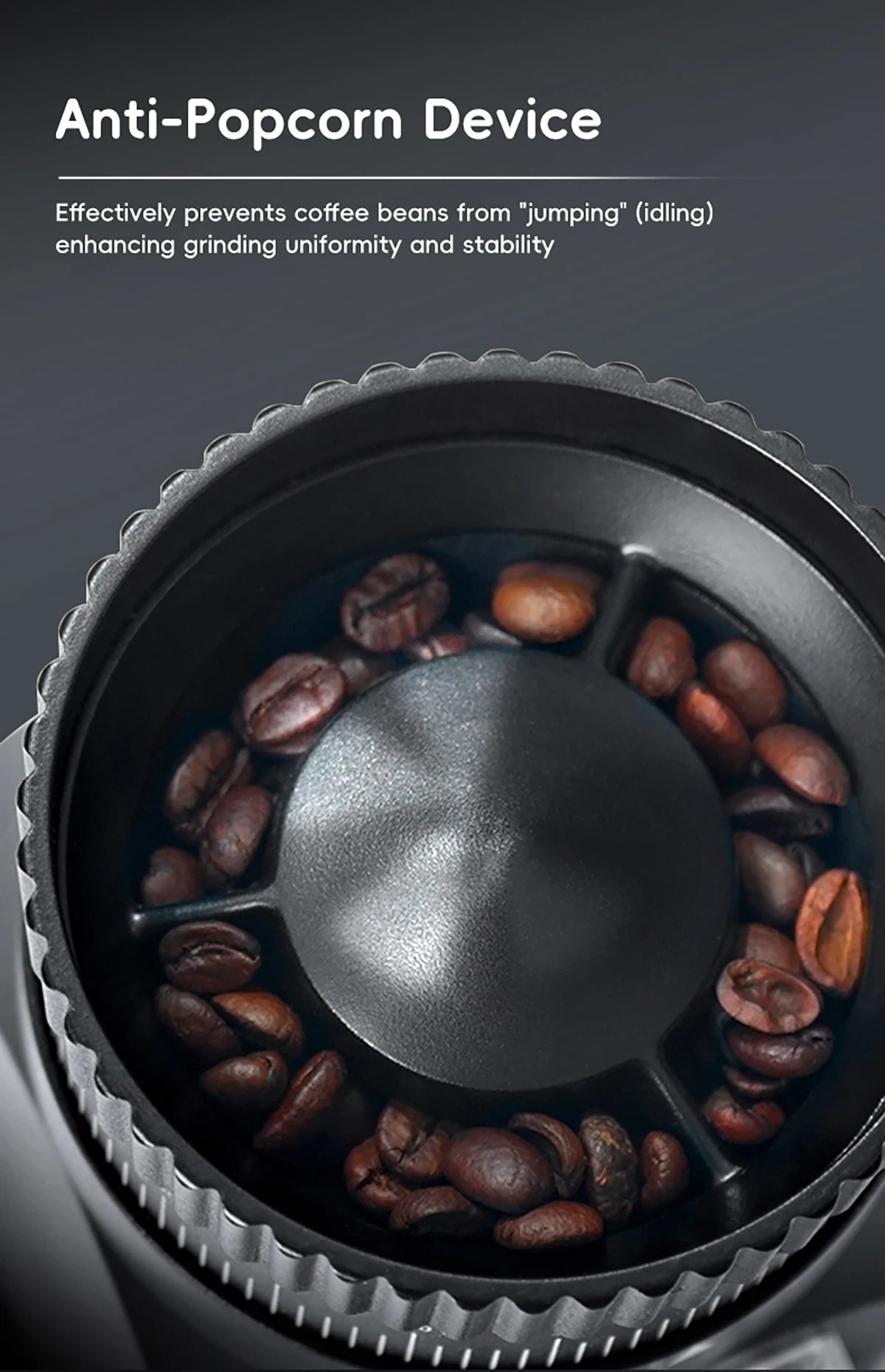 STARSEEKER E64 Electric Coffee Grinder – 64mm Titanium Flat Burr, Stepless Adjustment, EU Plug