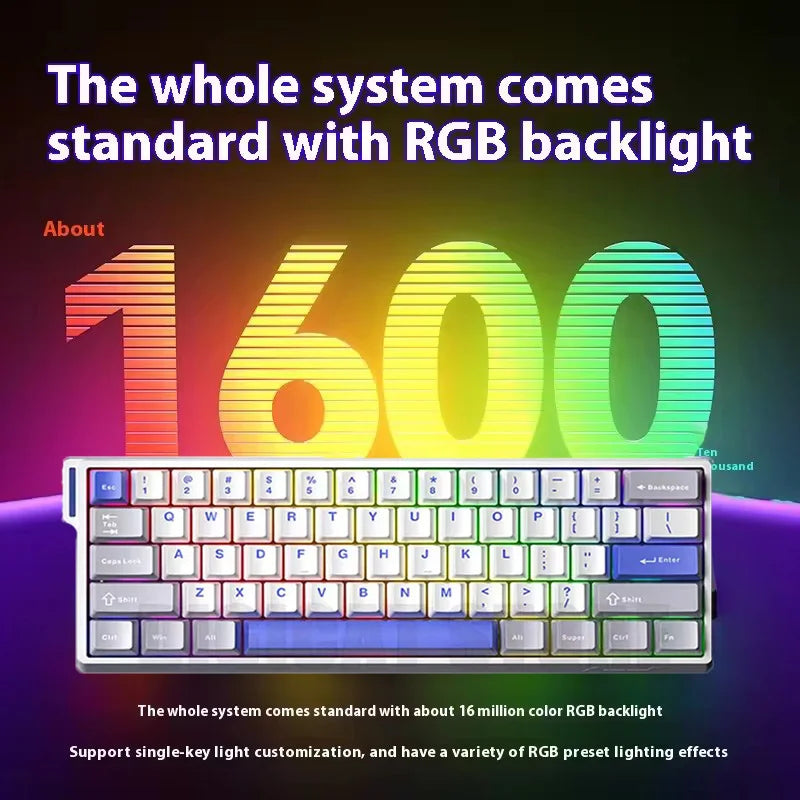 R.E.D. Shopping Aula Win68 HE magnetic switch mini gaming keyboard with RGB lighting, wired connection, hot-swappable keys for PC gaming