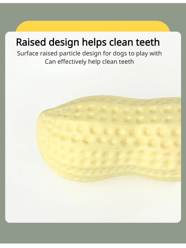 Peanut Squeaky Dog Chew Toy | TPR Teeth Cleaning Interactive Pet Toy