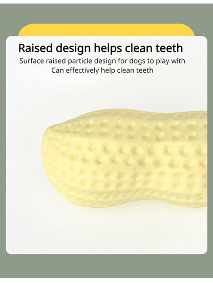 Peanut Squeaky Dog Chew Toy | TPR Teeth Cleaning Interactive Pet Toy