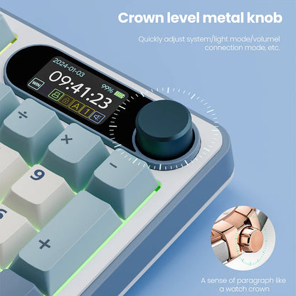 RK Royal Kludge S98 Wireless Mechanical Keyboard – 98 Key, Hot-Swap, TFT Screen, BT5.0/2.4G/USB-C