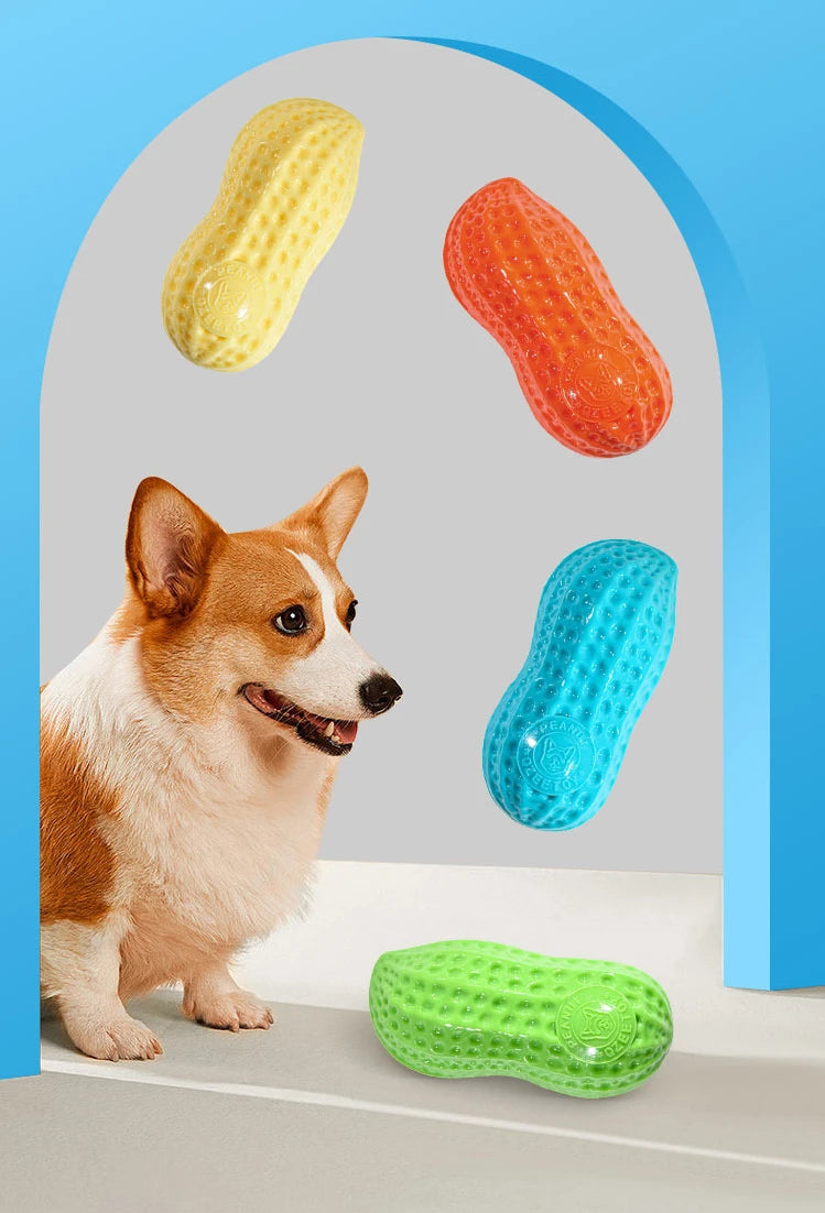 Peanut Squeaky Dog Chew Toy | TPR Teeth Cleaning Interactive Pet Toy