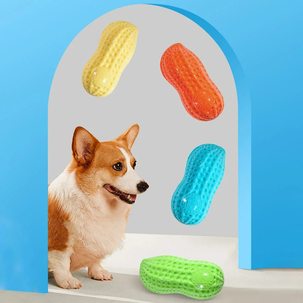 Peanut Squeaky Dog Chew Toy | TPR Teeth Cleaning Interactive Pet Toy