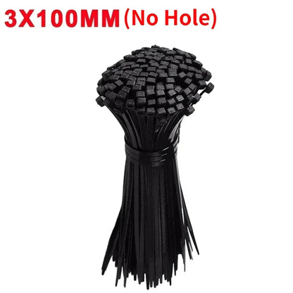 Self-Locking Nylon Cable Ties with Screw Hole Mount 100–200pcs