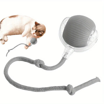 Rechargeable Smart Rolling Ball Toy for Cats & Dogs with Faux Tail