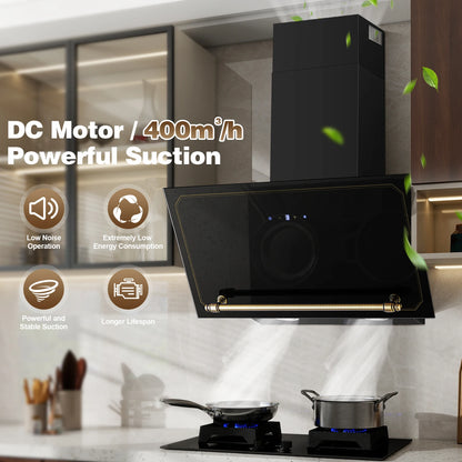 60cm Retro Wall Hood | 400m³/h Suction | A+++ | LED | Dual Filter