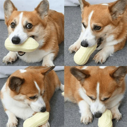 Peanut Squeaky Dog Chew Toy | TPR Teeth Cleaning Interactive Pet Toy