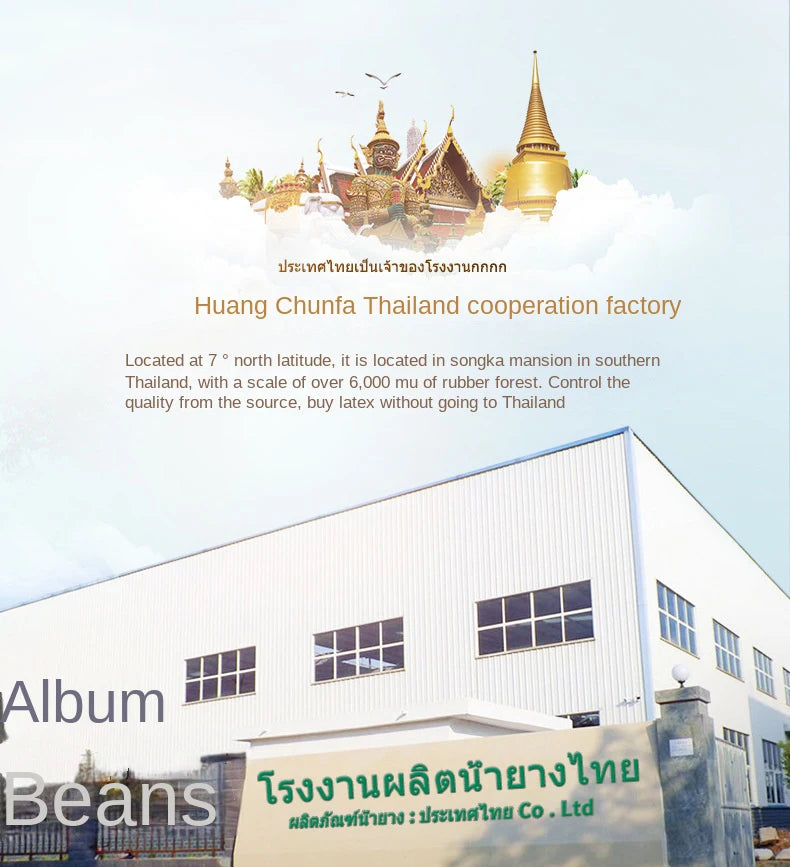 Soft 10cm natural latex mattress from Thailand, made of rubber, with a cushioned surface in a 1.2-1.8m size, for comfortable furniture.
