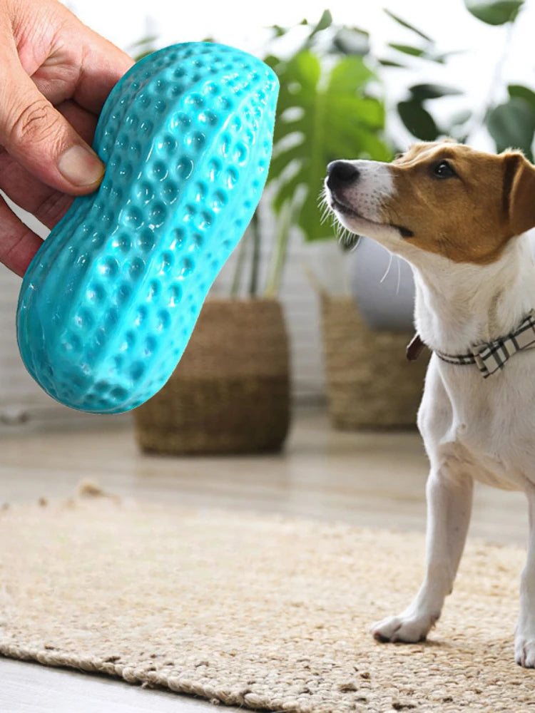 Peanut Squeaky Dog Chew Toy | TPR Teeth Cleaning Interactive Pet Toy