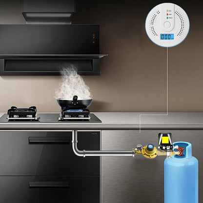 Digital Carbon Monoxide Detector – Sound Warning Battery Powered CO Gas Alarm