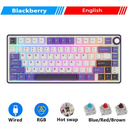 Royal Kludge RK R75 Brazilian Gasket Mechanical Keyboard – 80-Key, Hot-Swap, RGB, MDA PBT Keycaps