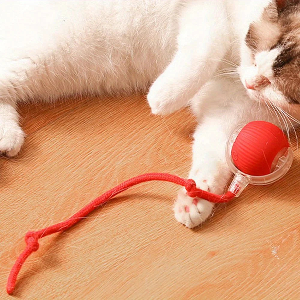 Rechargeable Smart Rolling Ball Toy for Cats & Dogs with Faux Tail