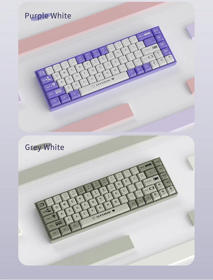 AJAZZ AK680 65% Mechanical Keyboard – Hot-Swap, RGB, Gasket Mount, 5 Colors