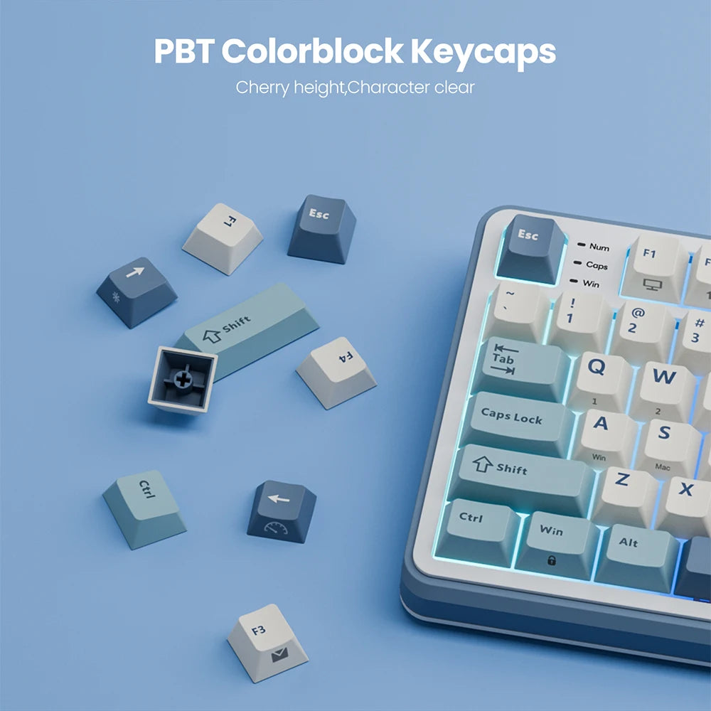 RK Royal Kludge S98 Wireless Mechanical Keyboard – 98 Key, Hot-Swap, TFT Screen, BT5.0/2.4G/USB-C