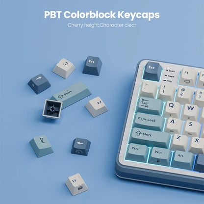 RK Royal Kludge S98 Wireless Mechanical Keyboard – 98 Key, Hot-Swap, TFT Screen, BT5.0/2.4G/USB-C