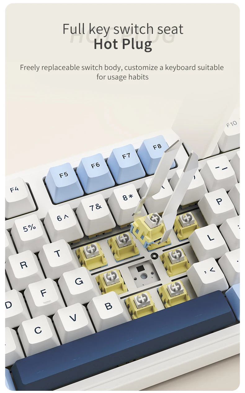 AJAZZ AK980 Mechanical Keyboard – 98-Key, Wired, Hot-Swap, Gasket Mount, RGB, CE/RoHS