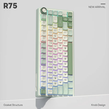 Royal Kludge RK R75 Brazilian Gasket Mechanical Keyboard – 80-Key, Hot-Swap, RGB, MDA PBT Keycaps