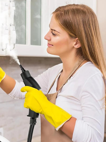 2500W 220V Household Steam Cleaner – High Temperature Pressurized for Floor, Kitchen & Interior