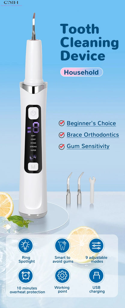 Electric Plaque Remover & Tartar Scraper – LED Light, 2 Replaceable Heads, Dental Teeth Cleaning Kit