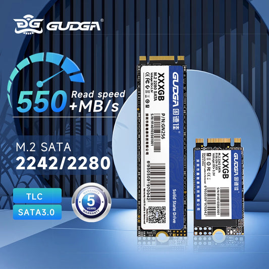 GUDGA M.2 SATA SSD – 128GB to 1TB Internal Drive (2242 & 2280)