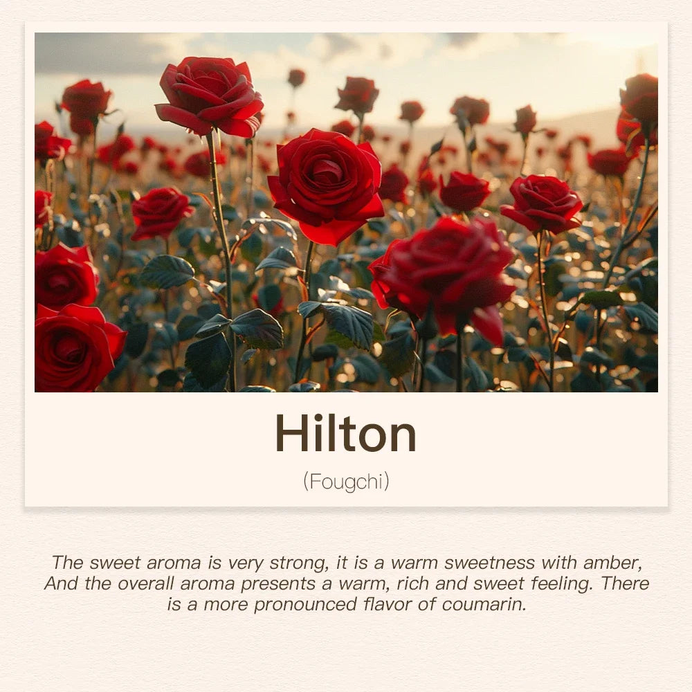 Hotel Room Fragrance Oil Refill – 100ml & 500ml Scenting Device Essential Oil for Home & Car