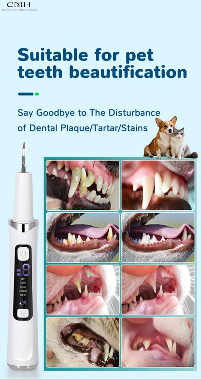 Electric Plaque Remover & Tartar Scraper – LED Light, 2 Replaceable Heads, Dental Teeth Cleaning Kit