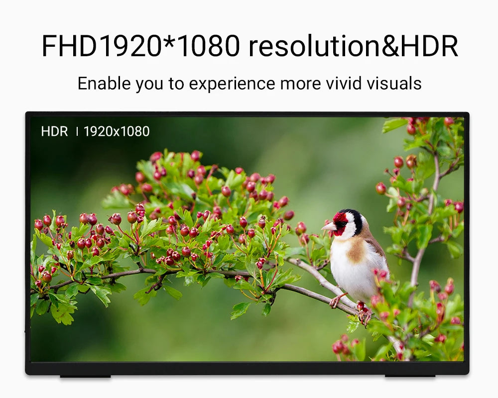 ZSUS 18-Inch 1080P 100Hz 100%sRGB Portable Monitor 16:9 HDR 350cd /M² For XBox PS4 / 5 Switch Cell Phone PC Loptop Extension