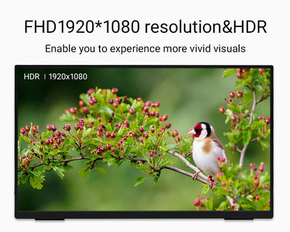 ZSUS 18-Inch 1080P 100Hz 100%sRGB Portable Monitor 16:9 HDR 350cd /M² For XBox PS4 / 5 Switch Cell Phone PC Loptop Extension