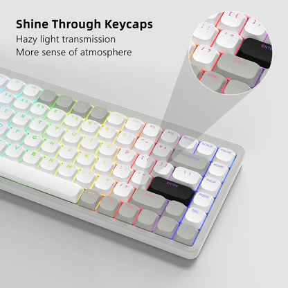 143 Key Low Profile PBT Keycaps – RGB Shine-Through, 60%/87/104, Cherry/Gateron MX