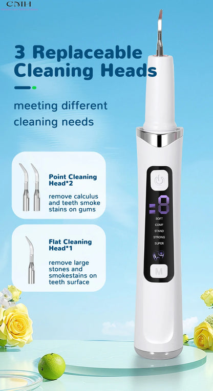 Electric Plaque Remover & Tartar Scraper – LED Light, 2 Replaceable Heads, Dental Teeth Cleaning Kit