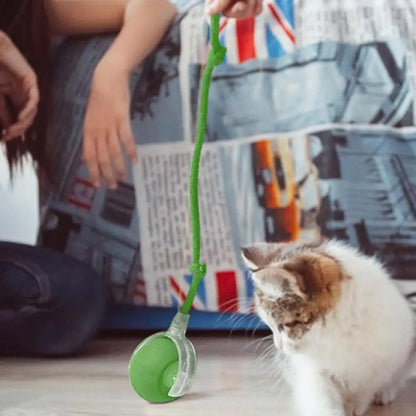 Rechargeable Smart Rolling Ball Toy for Cats & Dogs with Faux Tail