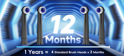 Electric Toothbrush T37 Sonic – 3 Modes, Rotation Clean with 4 Replacement Heads