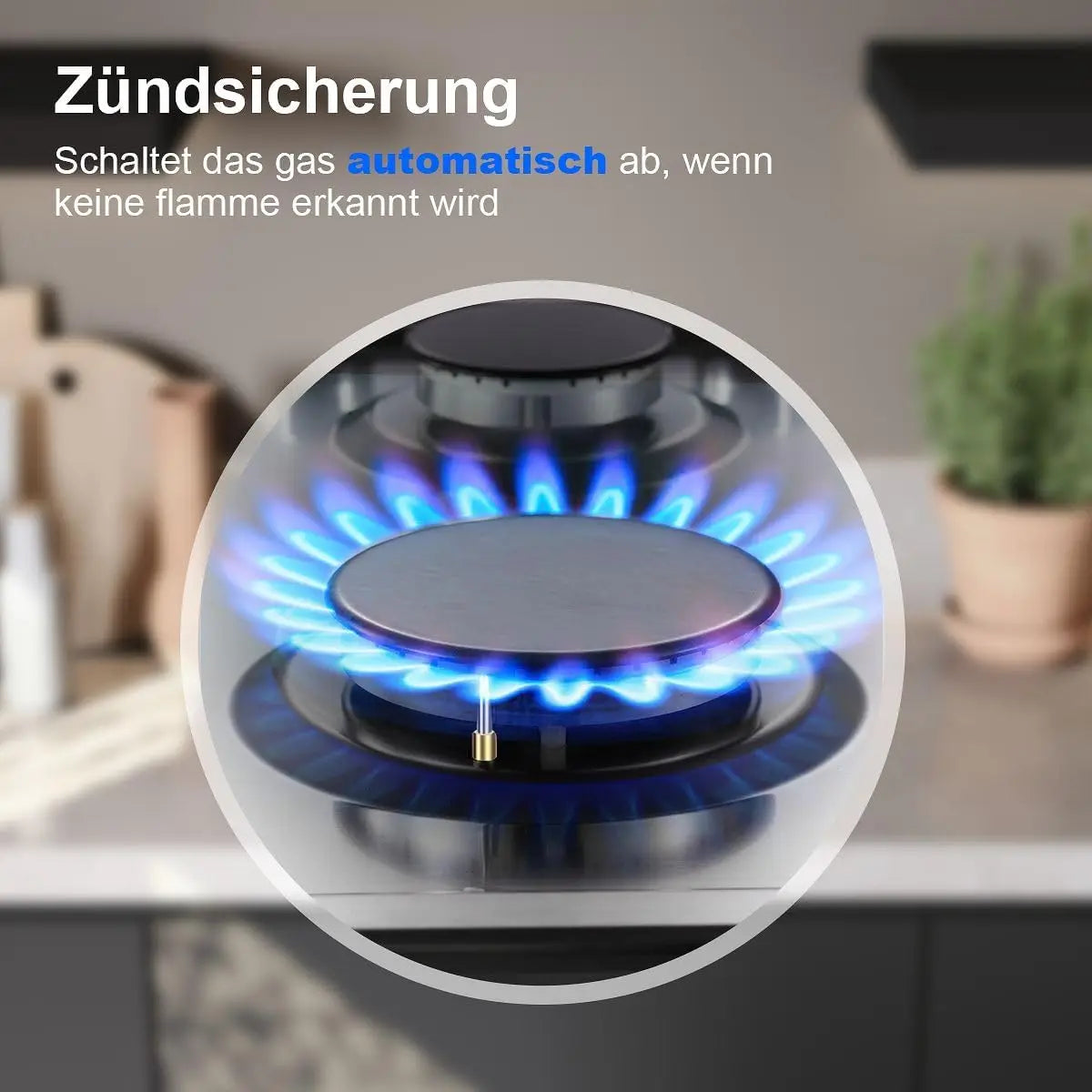 TopStrong 2-Burner Gas Hob | NG & LPG | Auto Flame Protection | Built-in | EU