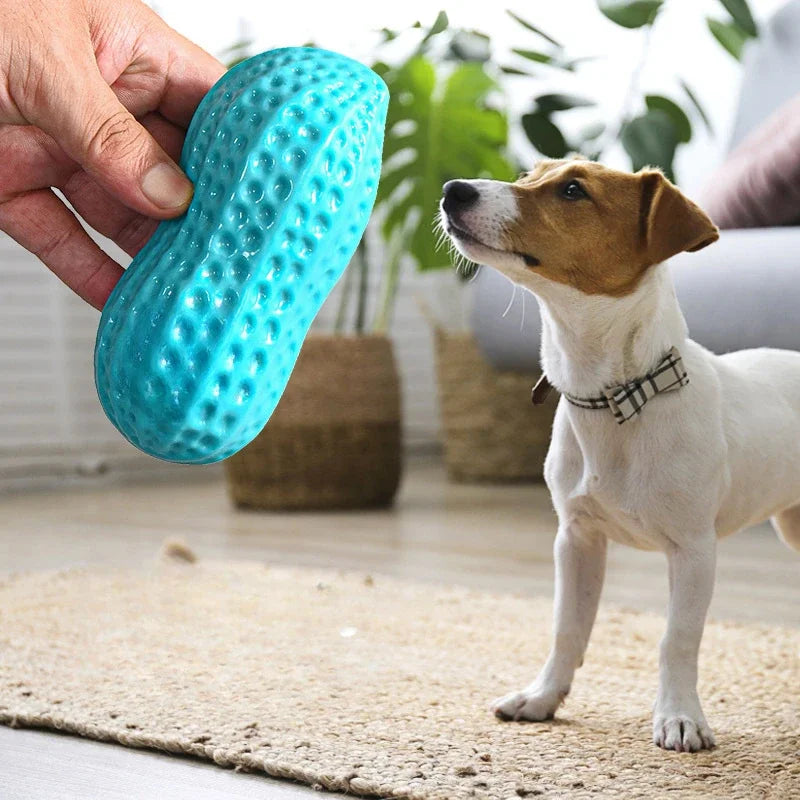 Peanut Squeaky Dog Chew Toy | TPR Teeth Cleaning Interactive Pet Toy