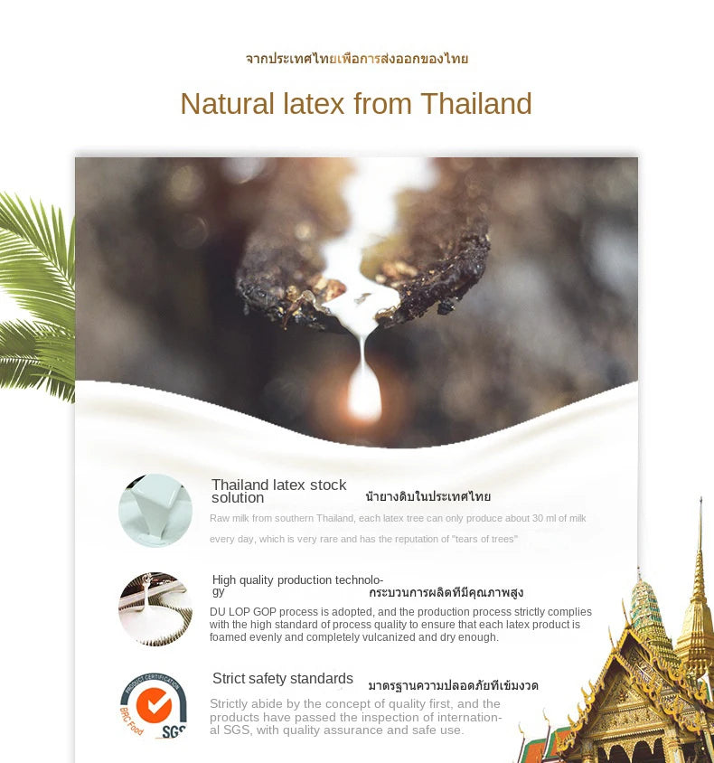 Soft 10cm natural latex mattress from Thailand, made of rubber, with a cushioned surface for comfortable sleep, suitable for 1.2-1.8m beds.