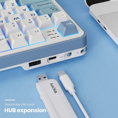 RK Royal Kludge S98 Wireless Mechanical Keyboard – 98 Key, Hot-Swap, TFT Screen, BT5.0/2.4G/USB-C