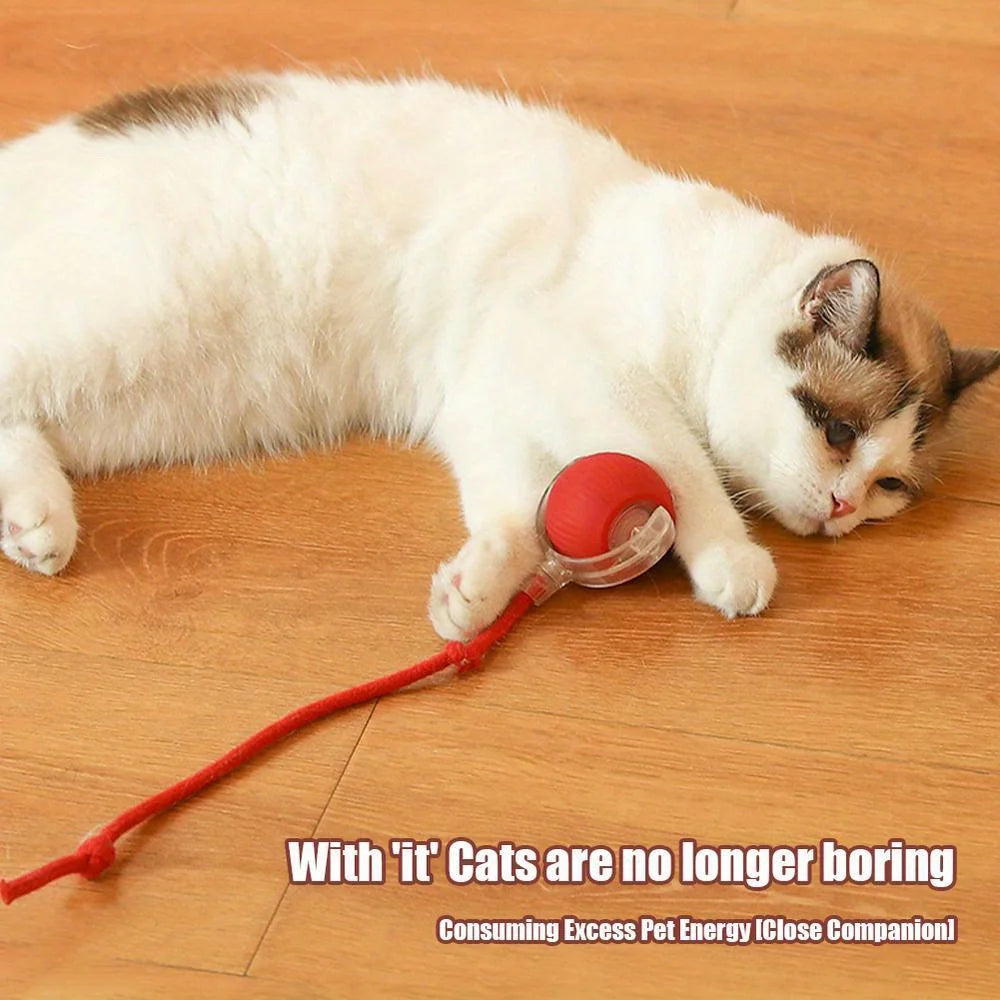Rechargeable Smart Rolling Ball Toy for Cats & Dogs with Faux Tail