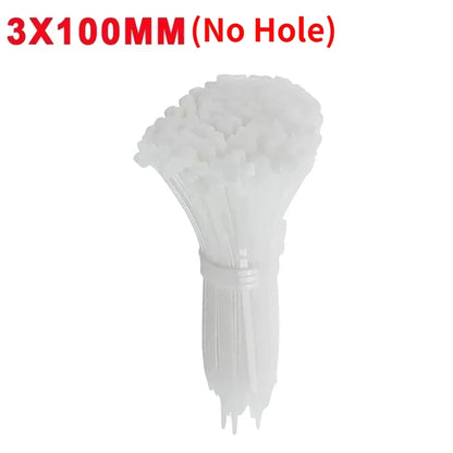 Self-Locking Nylon Cable Ties with Screw Hole Mount 100–200pcs