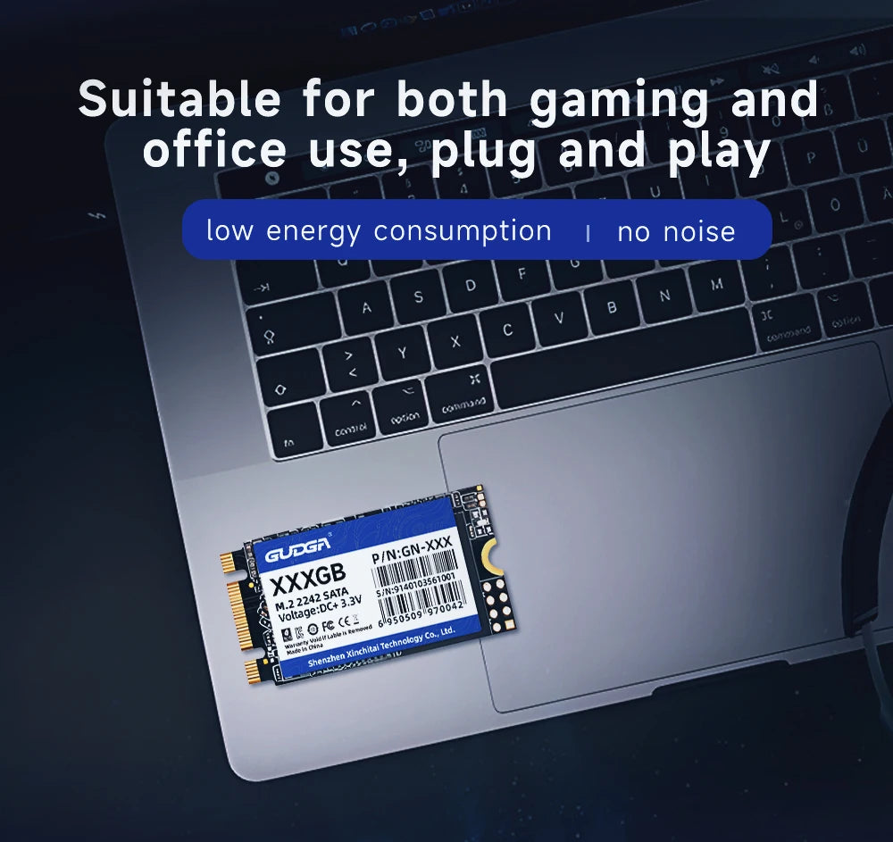 GUDGA M.2 SATA SSD – 128GB to 1TB Internal Drive (2242 & 2280)