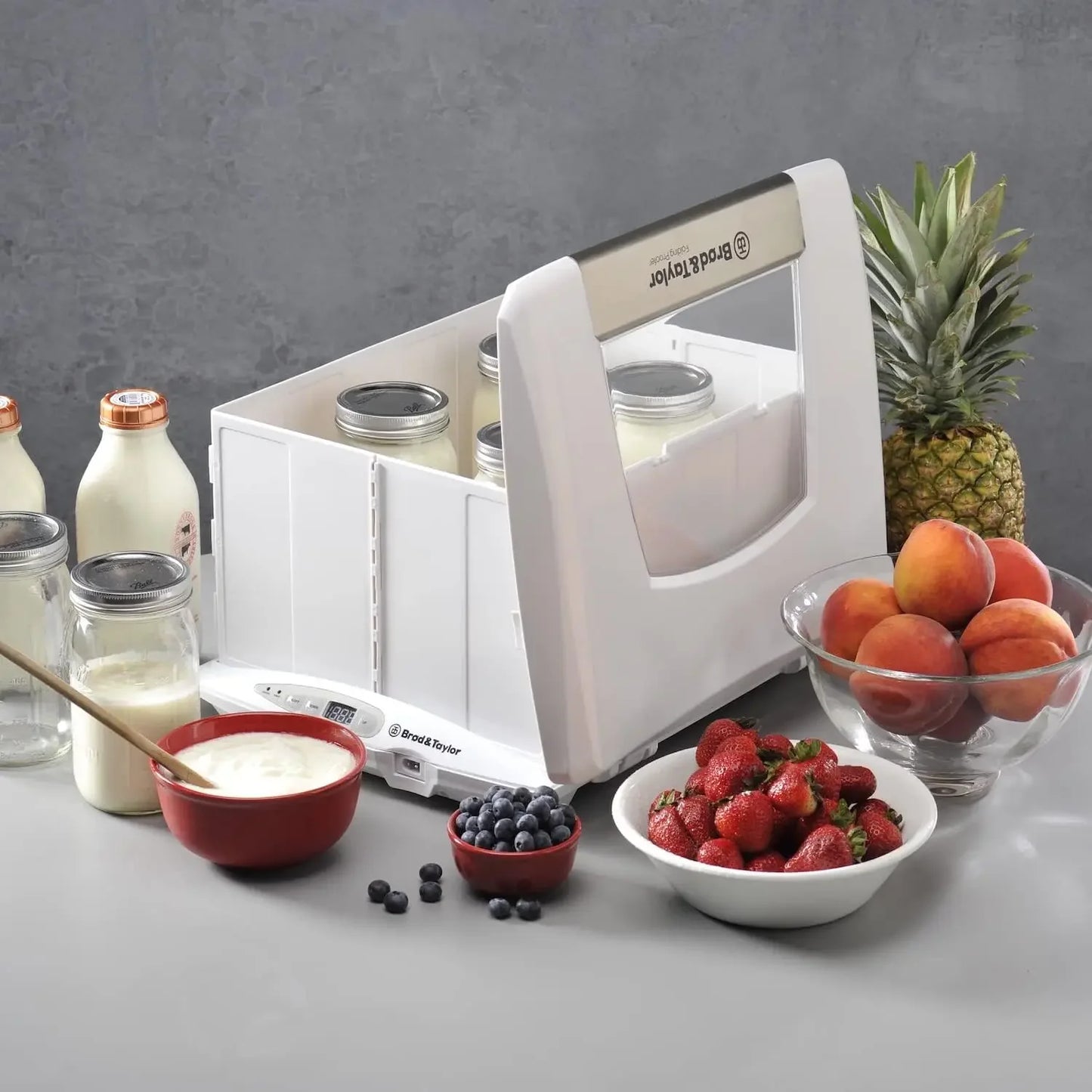 Brod & Taylor Folding Bread Proofer & Slow Cooker – Compact Collapsible Design