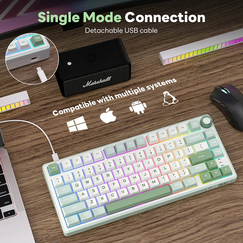 Royal Kludge RK R75 Brazilian Gasket Mechanical Keyboard – 80-Key, Hot-Swap, RGB, MDA PBT Keycaps