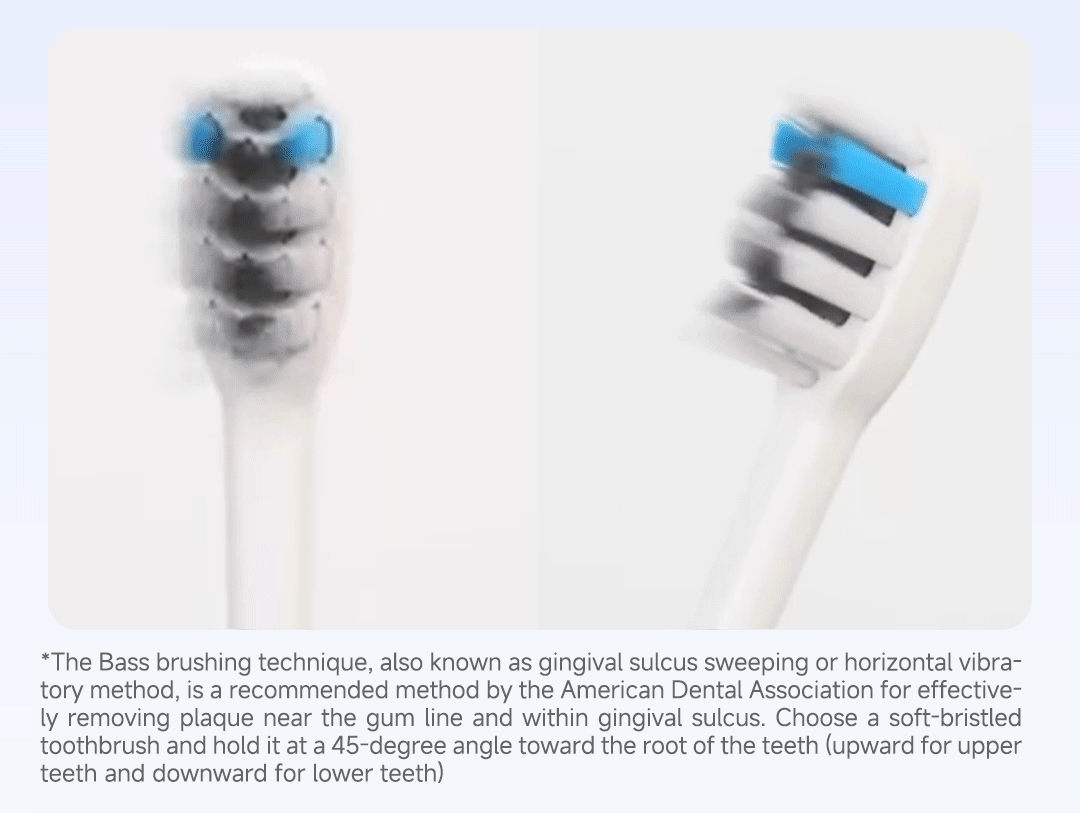 DOCOLAB Sonic Electric Toothbrush | 3-Mode | USB Charging | IPX7 Waterproof