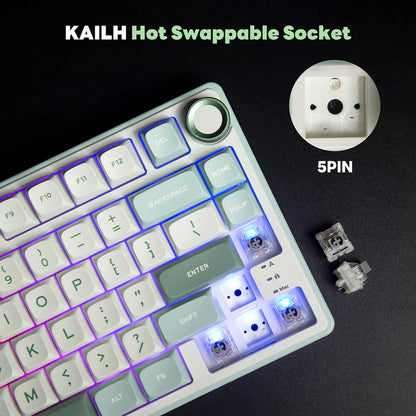Royal Kludge RK R75 Brazilian Gasket Mechanical Keyboard – 80-Key, Hot-Swap, RGB, MDA PBT Keycaps