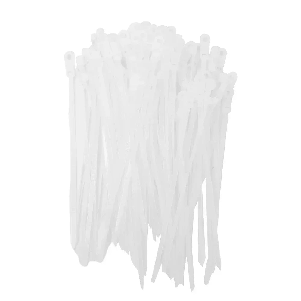 Self-Locking Nylon Cable Ties with Screw Hole Mount 100–200pcs